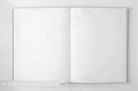 空白画册VI 页面