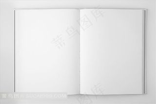 空白画册VI 页面