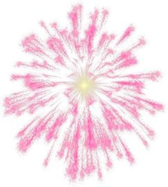 烟花 PNG免抠(242x269)
