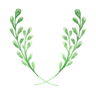 唯美森系手绘水彩花朵 免抠