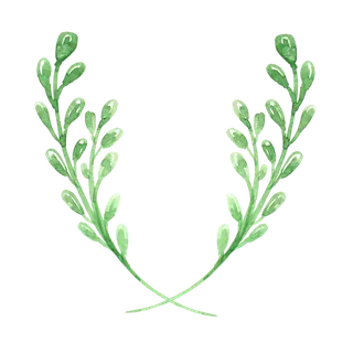 唯美森系手绘水彩花朵 免抠