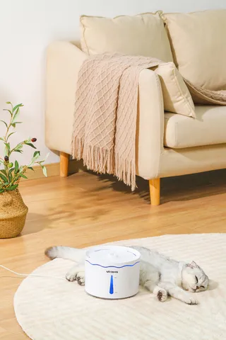 宠物饮水机场景高清拍摄背景 (10)