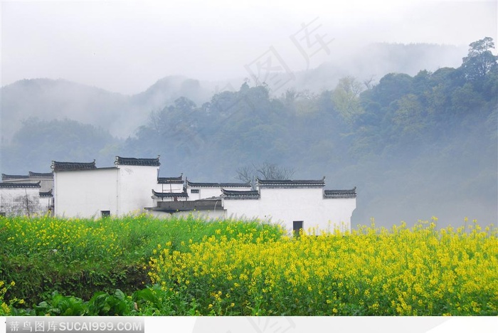 江西婺源徽居春韵图片