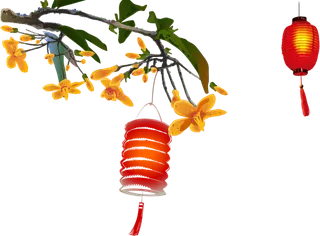 树枝灯笼国潮