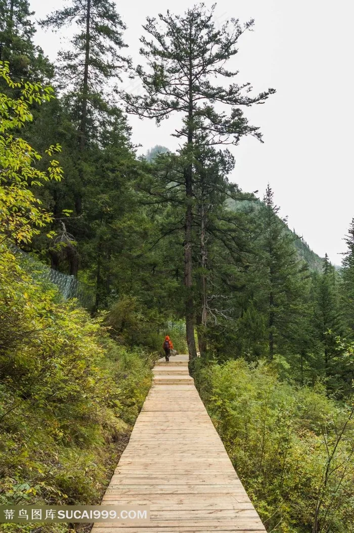九寨沟山林旅游观光栈道