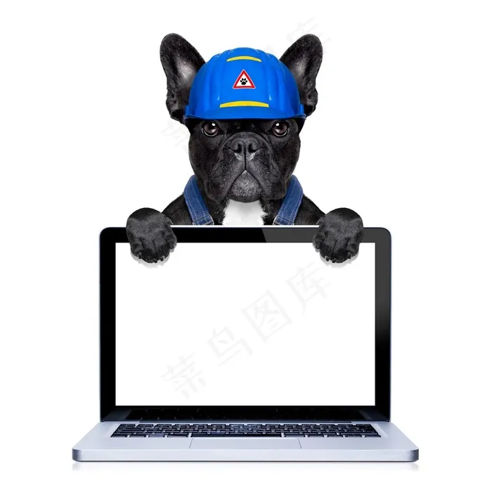 创意职业装可爱小狗高清图片素材