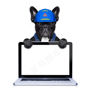 创意职业装可爱小狗高清图片素材