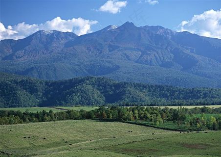 平原草原-高山下的平原
