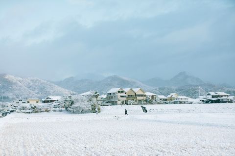 白雪冰雪冬天林木