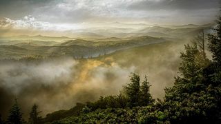 冬天自然背景风景