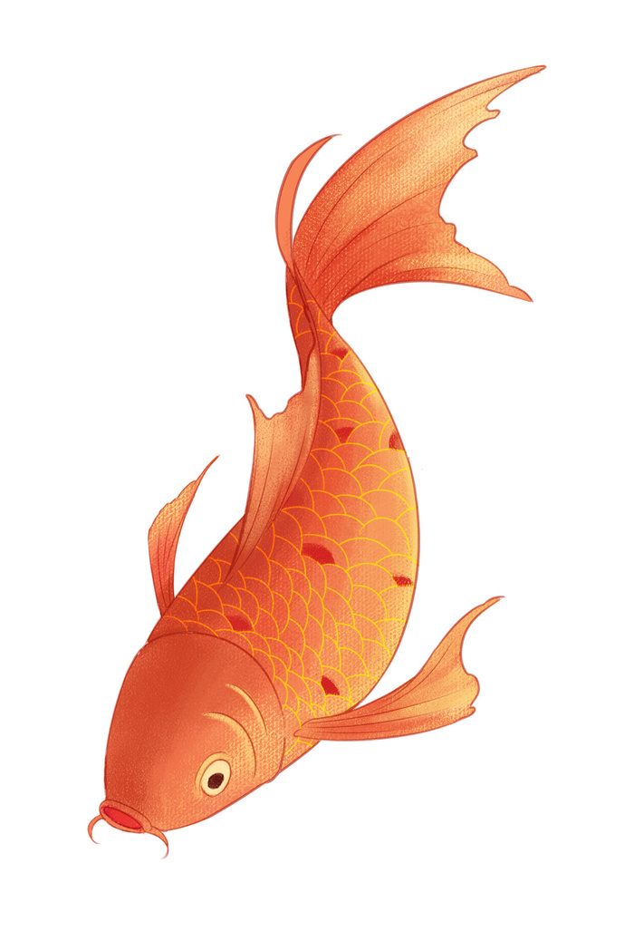 手绘烫金国潮中国风卡通锦鲤鱼金鱼插画装饰元素PSD设计素材