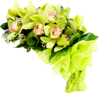 很好看鲜花花朵素材