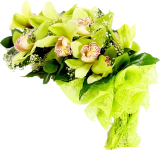 很好看鲜花花朵素材