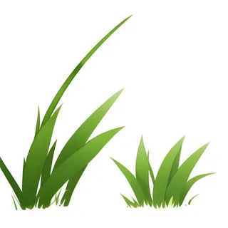 草丛叶子绿叶免抠