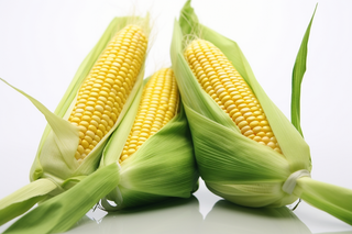 刨开的玉米摄影图