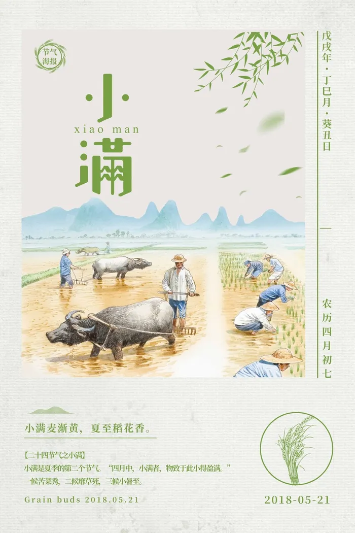 小满 二十四节气psd模版下载