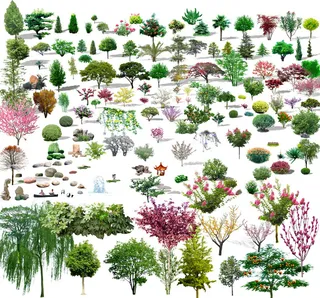 综合树需要拼图素材