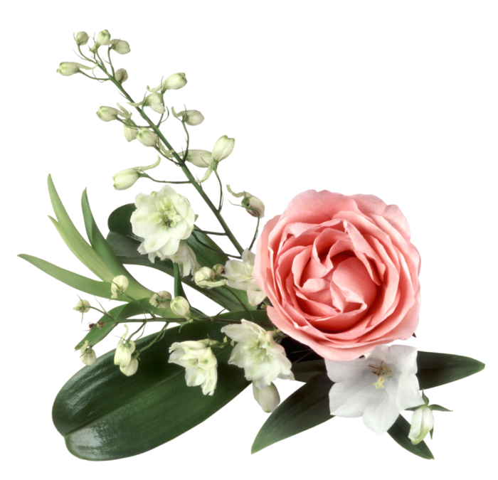 花饰和花束 免抠
