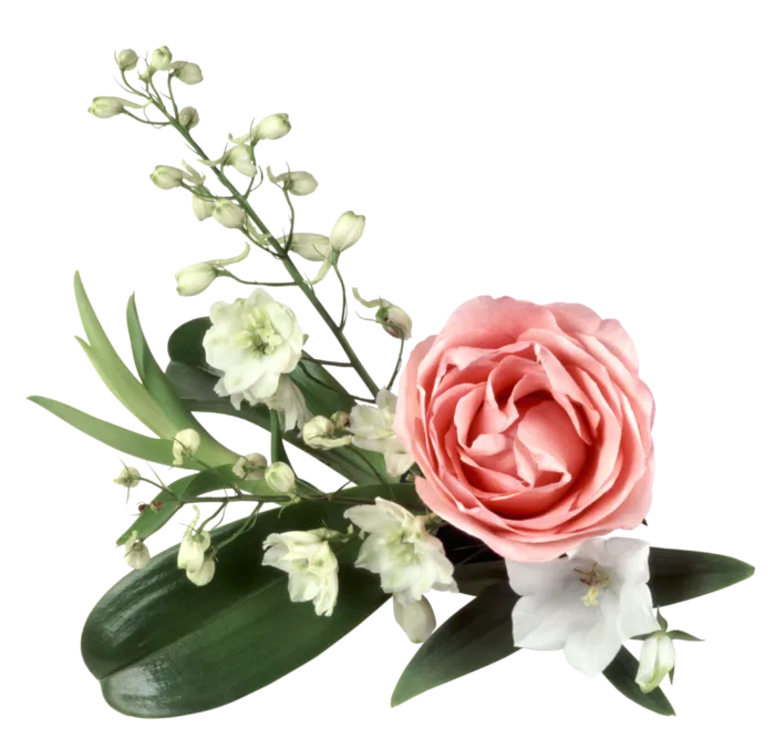 花饰和花束 免抠