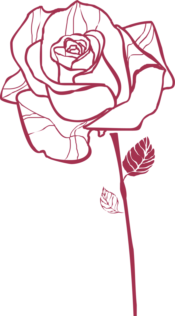 鲜花玫瑰免扣素材