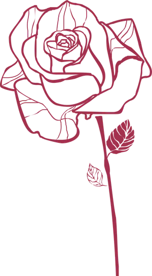 鲜花玫瑰免扣素材