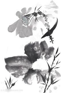 国画荷叶莲蓬芦苇图片 国画荷叶莲蓬芦苇图片
