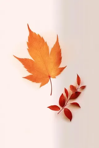 秋叶橙红色意境大气背景