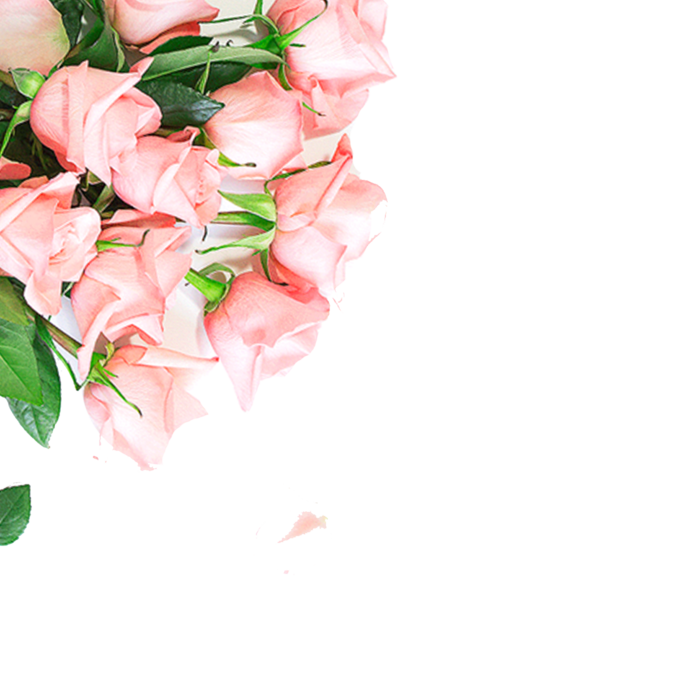 鲜花玫瑰免扣素材