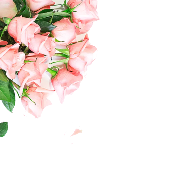 鲜花玫瑰免扣素材