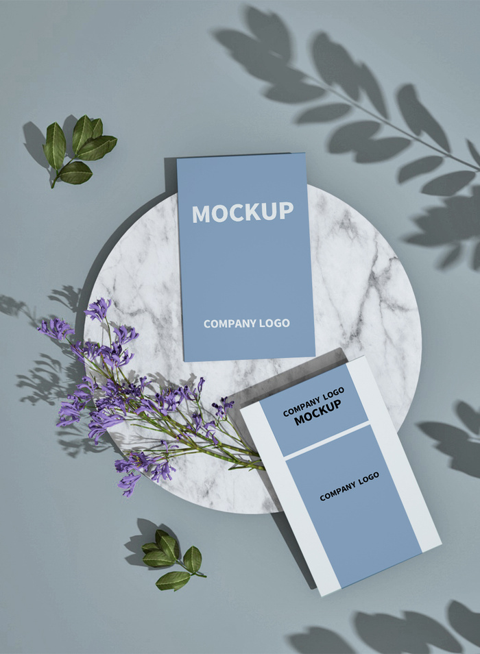 高端大气商务名片样机