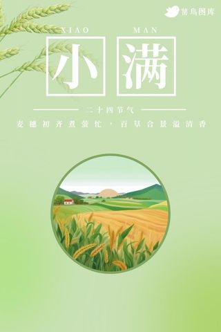 小满节气小麦庄稼农田小清新海报