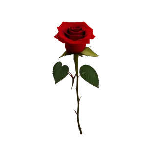 单只玫瑰免扣原创素材