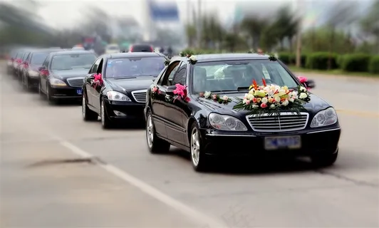 鲜花婚车下载