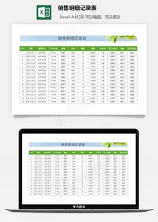 销售明细记录表