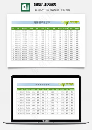 销售明细记录表
