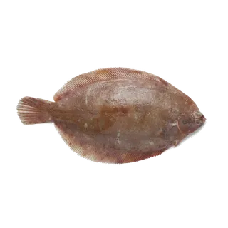 鱼类(40)海鲜超市商品红酒白底图免抠实物摄影png格式图片透明底