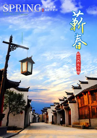 蕲春蕲艾养生小镇旅游景点海报