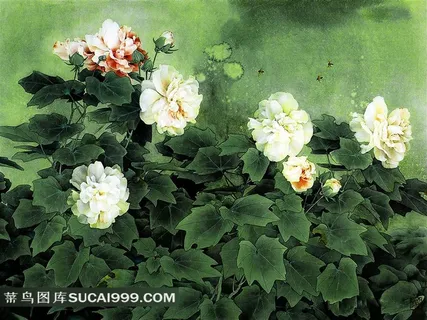 高清工笔白牡丹花图片