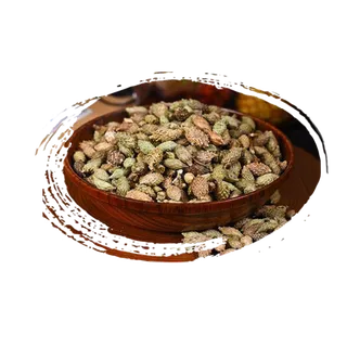 苍耳子散加味中药