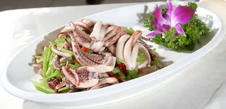 50 香芹八爪鱼 桥东大酒店