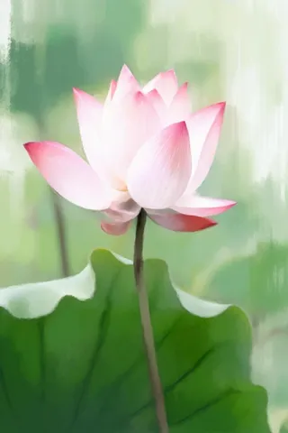 国风荷花水墨节气背景