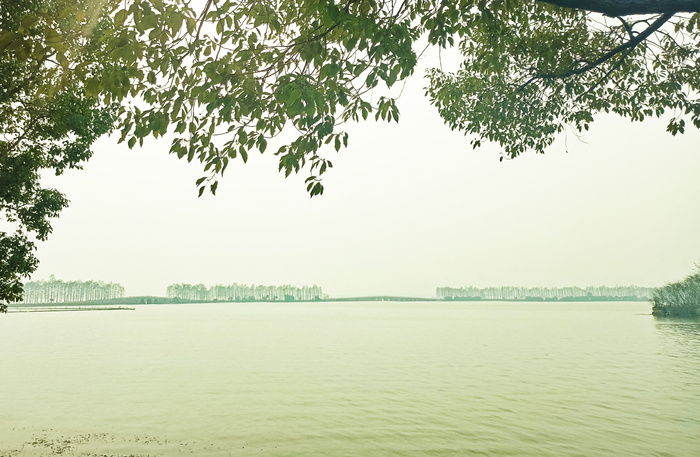 春天湖水风景