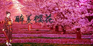 全国樱花节背景