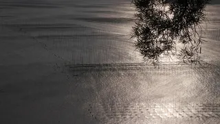 霞浦海边日落波光粼粼海天一色