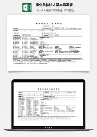 事业单位法人基本情况表excel模板
