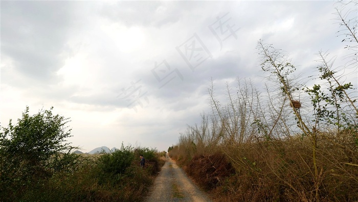 梨园道路风景