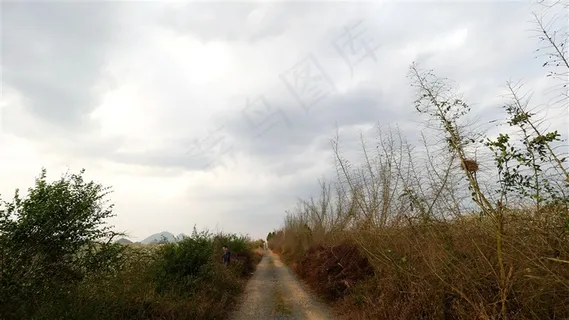 梨园道路风景 梨园道路风景