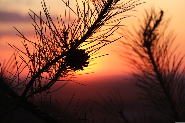 浪漫夕阳摄影