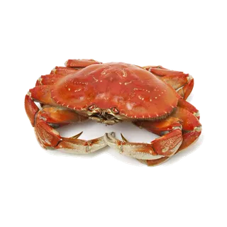 螃蟹(21)海鲜超市商品红酒白底图免抠实物摄影png格式图片透明底