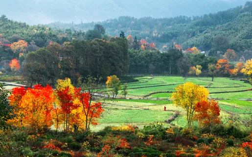 安徽塔川风景图片-第2张 安徽塔川风景图片-第2张